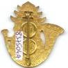 3° Bataillon d'Infanterie Légère d'Afrique , scorpion, cor d'émail noir, 2 boléros Drago