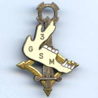 3° Groupe Saharien Motorisé...