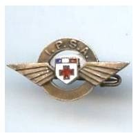 Infirmière Pilote...