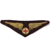 Infirmière Pilote...