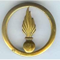 Cadre Spécial, insigne de...