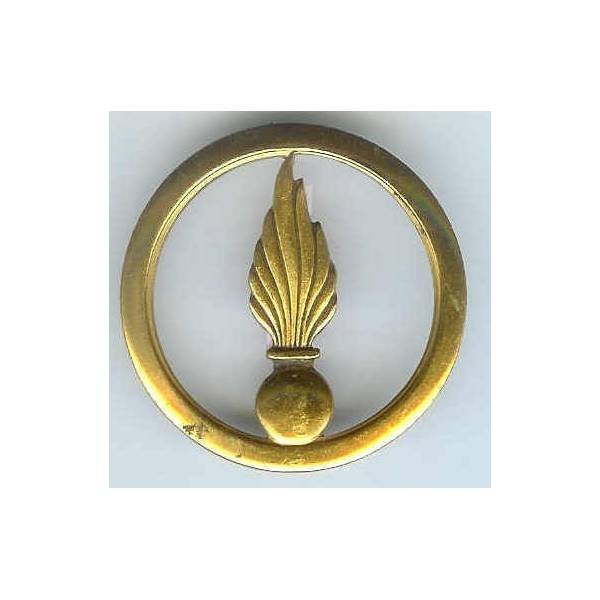 Cadre Spécial, insigne de bérêt