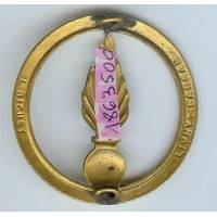 Cadre Spécial, insigne de bérêt