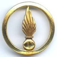 Cadre Spécial, insigne de bérêt