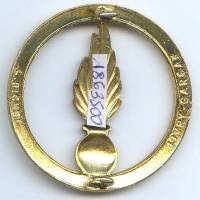 Cadre Spécial, insigne de bérêt