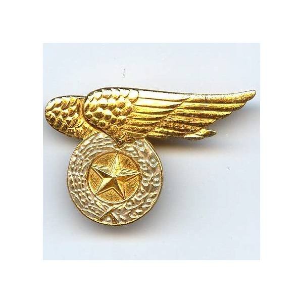 Pilote Armée de l'Air  Viet-Nam , doré, fond plein