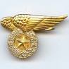 Pilote Armée de l'Air  Viet-Nam , doré, fond plein