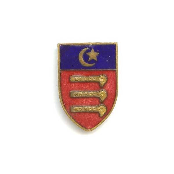 521° Groupe de Bataillons de Chars de Combat  (61-65-67° BCC) , anneaux