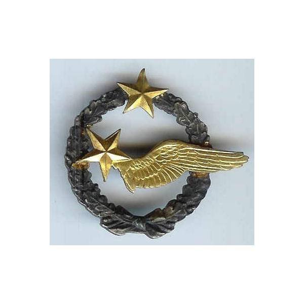 Brevet d’ Elève-Pilote, 2 étoiles