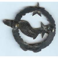 Brevet d’ Elève-Pilote, 2 étoiles