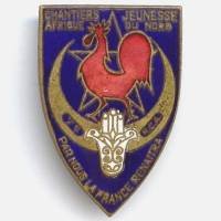 7° Régiment de Chasseurs d'Afrique / Chantiers de Jeunesse en AFN , coq rouge, émail