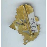 Anciens Chasseurs d' Afrique, marguerite émaillée