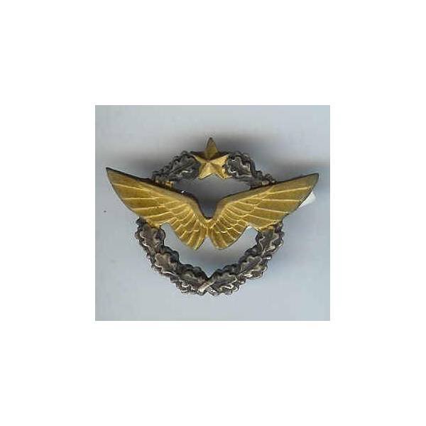 Brevet de Pilote, 1/2 taille 28x37, attache à molette