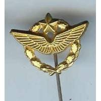 Brevet de Pilote, réduction / cravate "doré à l' or fin"