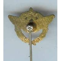 Brevet de Pilote, réduction / cravate "doré à l' or fin"