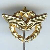 Brevet de Pilote, réduction / cravate "doré à l' or fin"