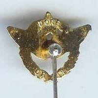 Brevet de Pilote, réduction / cravate "doré à l' or fin"