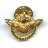 Brevet de Pilote,...