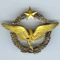 Brevet de Radio-Naviguant