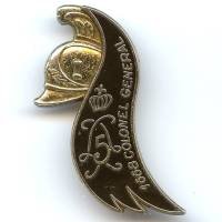 5° Rgt de Dragons, Colonel...