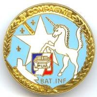 5° Rgt de Dragons BAT INF...