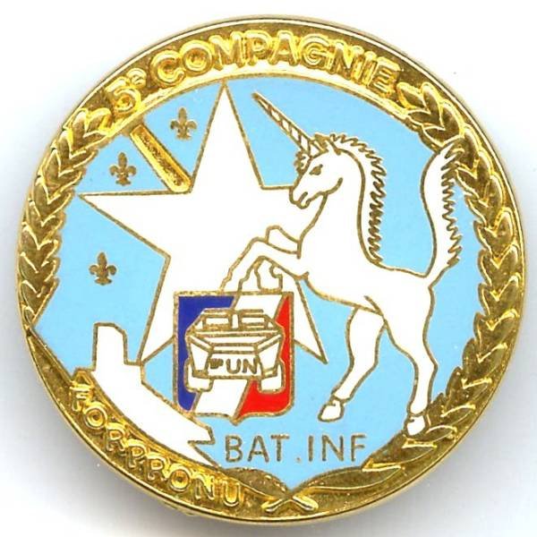 5° Rgt de Dragons BAT INF FORPRONU