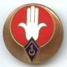 1° Régiment de Spahis Algériens , sans bordure, 1 chevron, D Ber en cercle