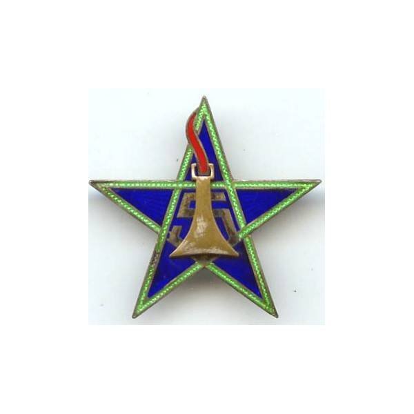 En argent , 5° Régiment de Spahis Marocains , légers éclats