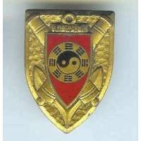 10° Régiment d'Artillerie de Marine , yin et yang, émail, A majuscule