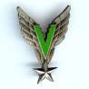 4° GALDIV, patiné