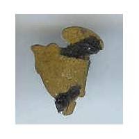 7° BC, réduction pour briquet ou porte-cigarette, h 16