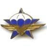 1° Rgt de Chasseurs Parachutistes, émail, anneaux