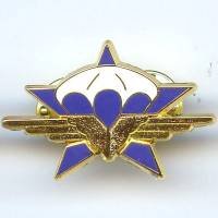 1° Rgt de Chasseurs...