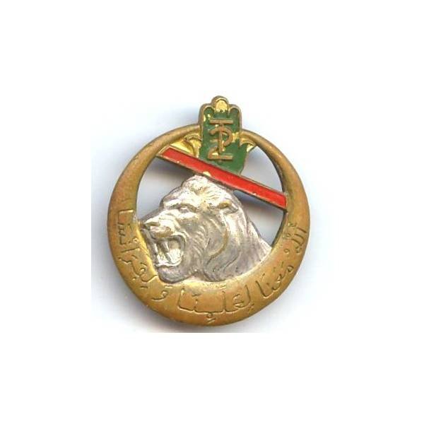 2° Régiment de Tirailleurs Algériens , tête de lion, barre oblique rouge, peint