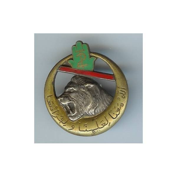 2° Régiment de Tirailleurs Algériens , tête de lion, barre oblique rouge, émail, D Ber sur 2 lignes