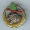 2° Régiment de Tirailleurs Algériens , tête de lion, barre oblique rouge, émail, D Ber sur 2 lignes