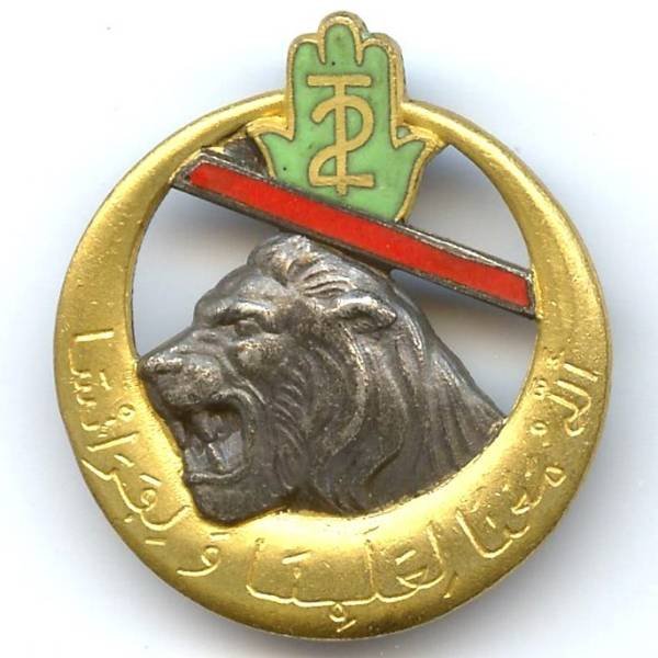 2° Régiment de Tirailleurs Algériens , barre oblique rouge, tête de lion, émail, D Ber en arc, gros boléro lisse