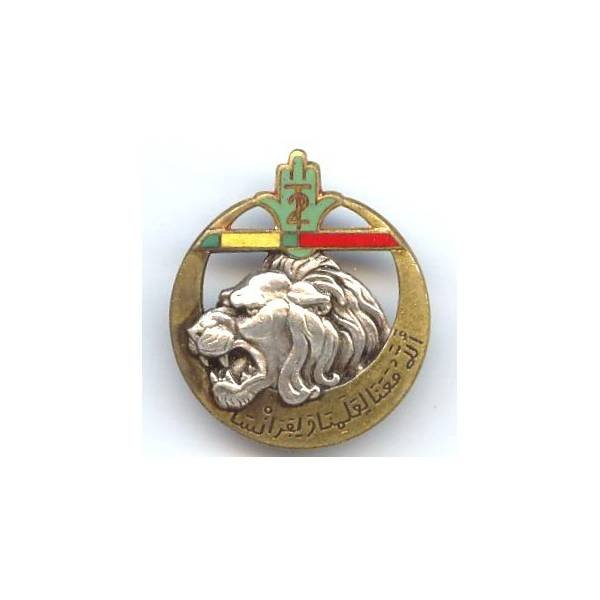 2° Rgt de Tirailleurs Algériens , tête de lion, barre droite aux couleurs Légion d'Honneur et Médaille Militaire, dos grenu