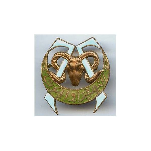 7° Rgt de Tirailleurs Algériens, double 7, émail
