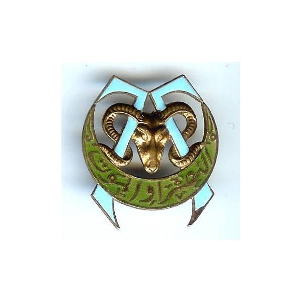 7° Régiment de Tirailleurs Algériens , double 7, émail, éclat d' émail, sans attache