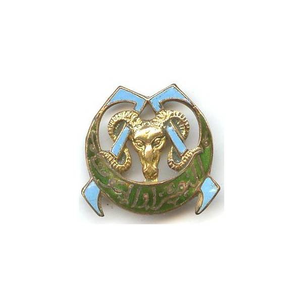 7° Rgt de Tirailleurs Algériens, double 7, émail, écaille