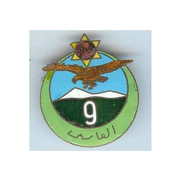 9° Régiment de Tirailleurs Algériens , 41 mm, tout émaillé, quelques éclats réparés