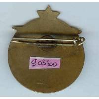 9° Régiment de Tirailleurs Algériens , 41 mm, tout émaillé, quelques éclats réparés