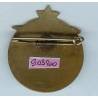 9° Régiment de Tirailleurs Algériens , 41 mm, tout émaillé, quelques éclats réparés