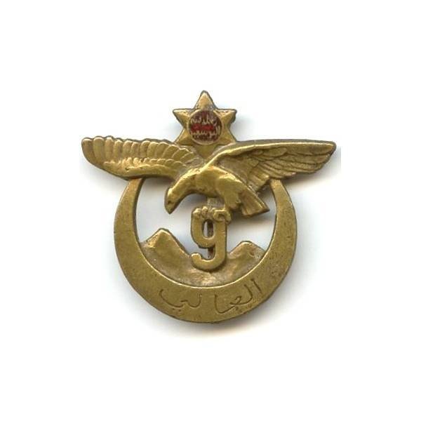 9° Régiment de Tirailleurs Algériens , aigle, tout bronze, épingle à pivot