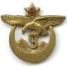 9° Régiment de Tirailleurs Algériens , aigle, tout bronze, épingle à pivot