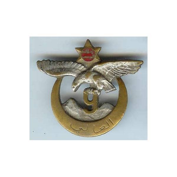 9° Régiment de Tirailleurs Algériens , métal, sans attache