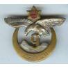 9° Régiment de Tirailleurs Algériens , métal, sans attache