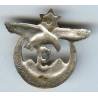 9° Régiment de Tirailleurs Algériens , métal, sans attache