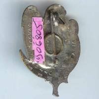 21° Rgt de Tirailleurs Algériens , aigle sur croissant, vert clair, attache cassée